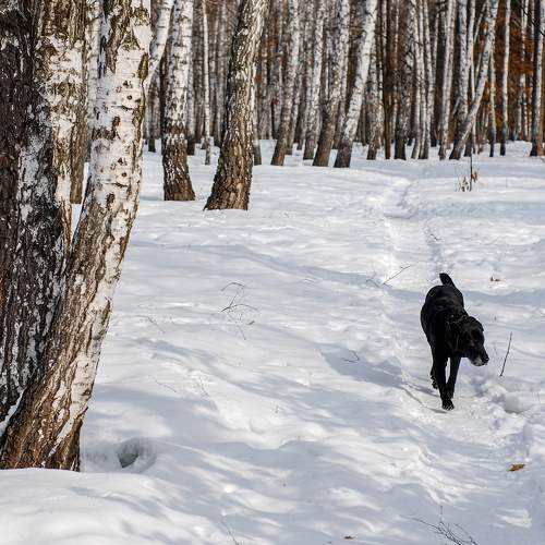 Photo #7196785