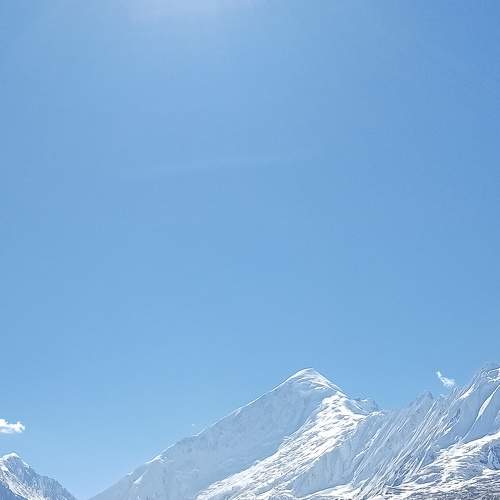 Photo #7196819