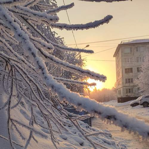 Photo #7197192