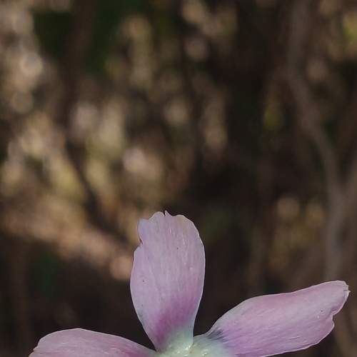 Photo #7197395