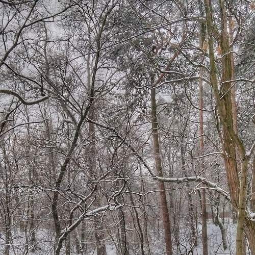 Photo #7197438