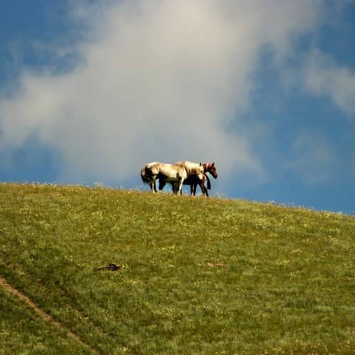 Photo #7197794