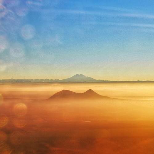Photo #7197859