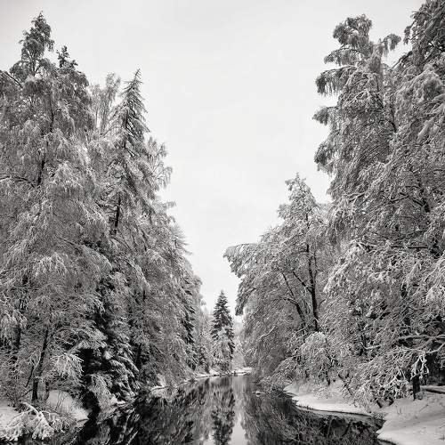 Photo #7197963