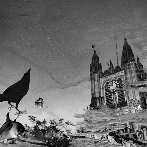 Reflection Of The Church & A Crow On A Rainy Day.