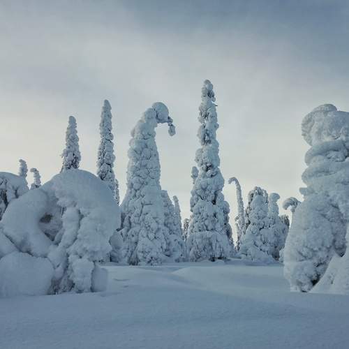 Photo #7197975