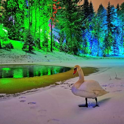 Photo #7197981