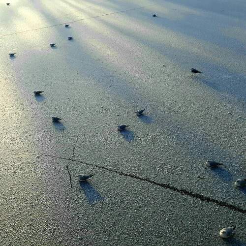 Photo #7198071