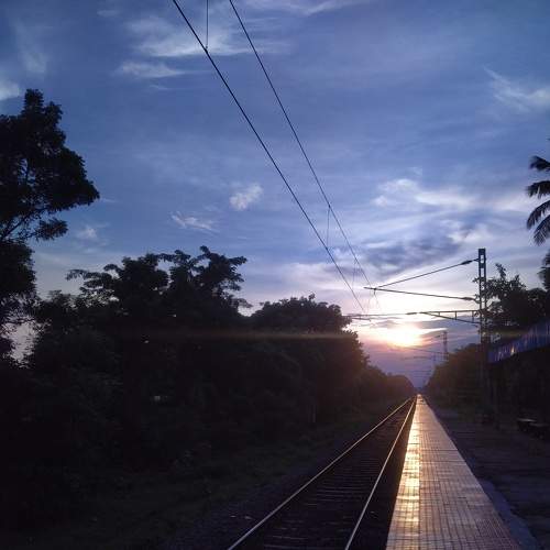 Photo #7198157
