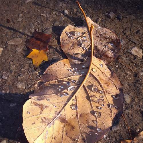 Photo #7198639