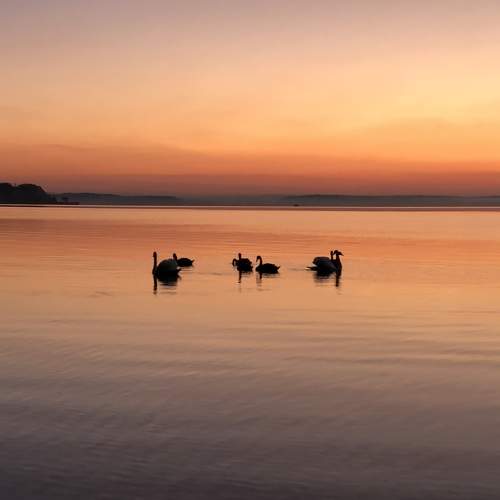 Photo #7198653