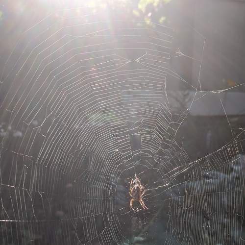 Photo #7198663