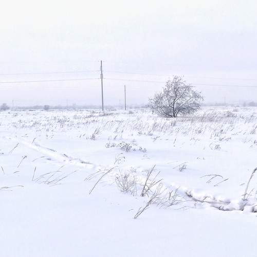 Photo #7198856