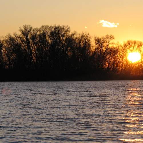 Photo #7199145