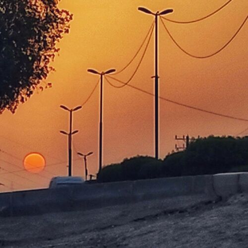 Photo #7199170