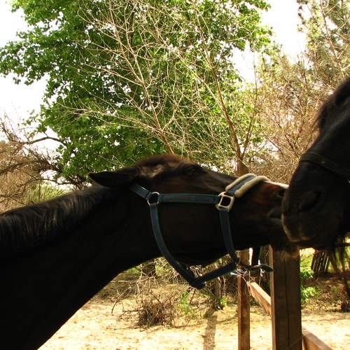 Photo #7199213