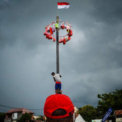 Climbing Areca Nut