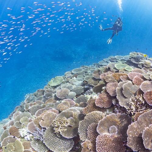 Фотография #7199478