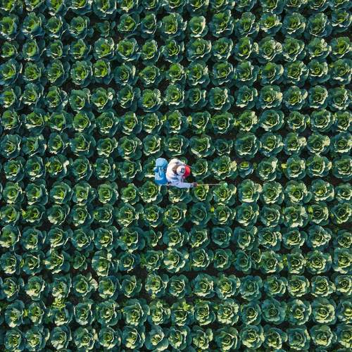 Photo #7199676
