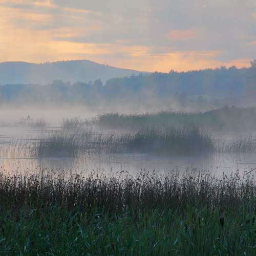 Photo #7199764