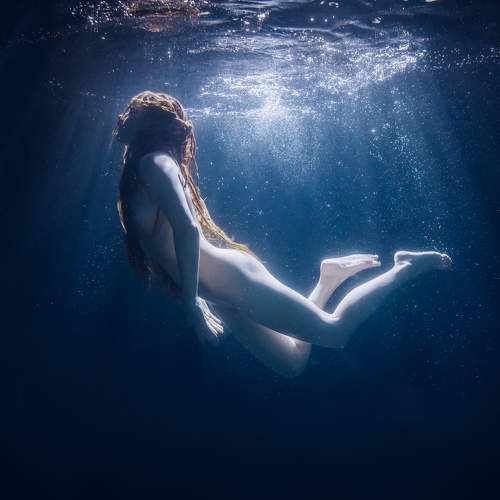 Photo #7199990