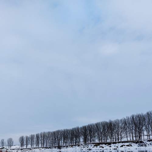 Photo #7200195