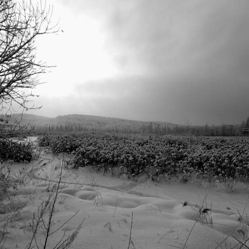 Photo #7200263
