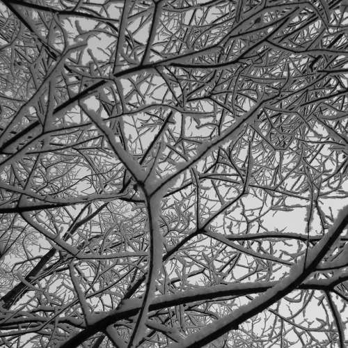 Photo #7200265