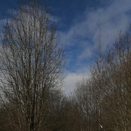 Photo #7200437