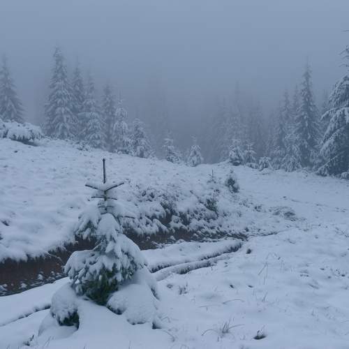 In the cold haze ..