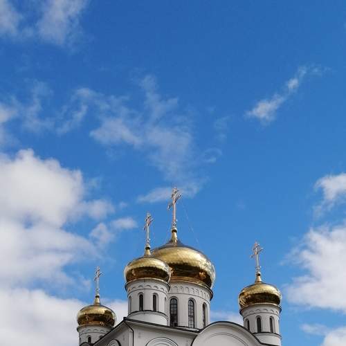 Photo #7200474