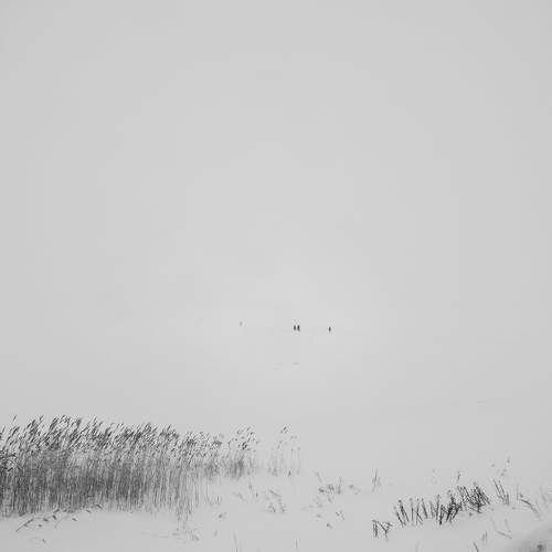 Photo #7200747
