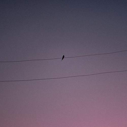 Photo #7200764