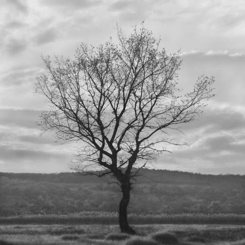 Photo #7200992