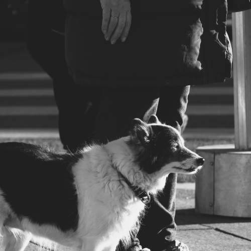 Photo #7201164