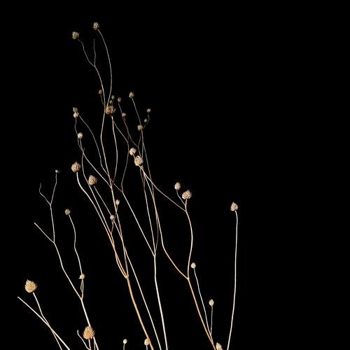 Photo #7201756