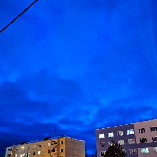 Photo #7201772