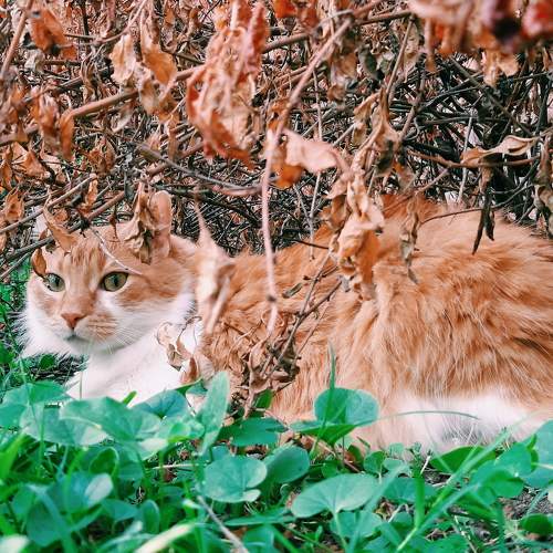 Photo #7201819