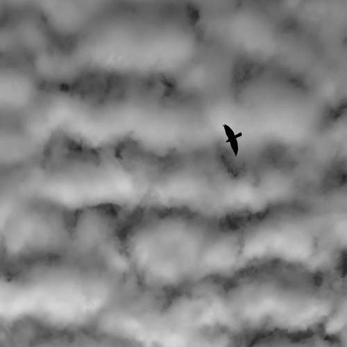 Photo #7202081