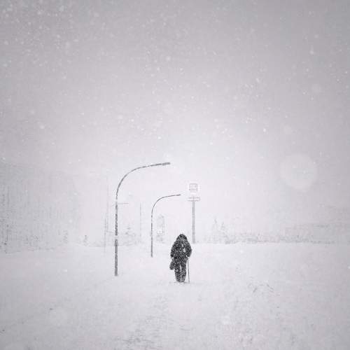 Photo #7202208