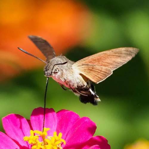 Photo #7202531