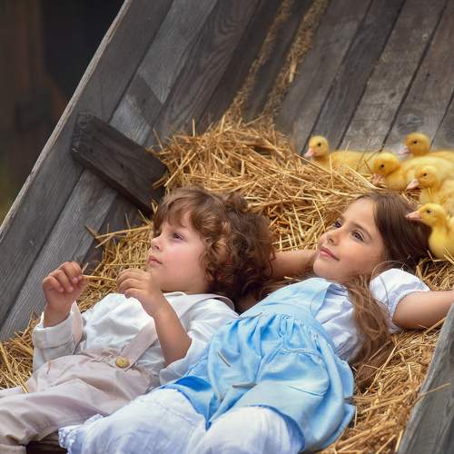 Photo #7202769