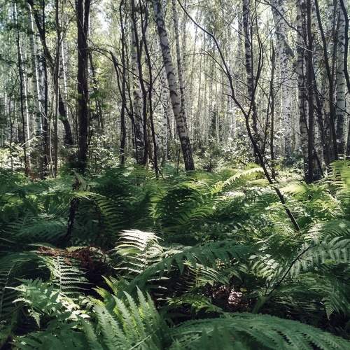 Photo #7202897
