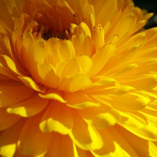 Photo #7202968