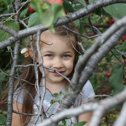Photo #7203056