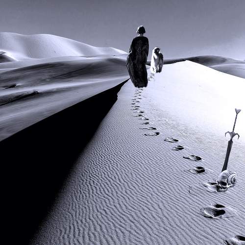 Photo #7203061