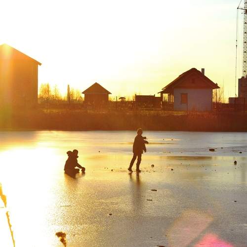 Photo #7203120