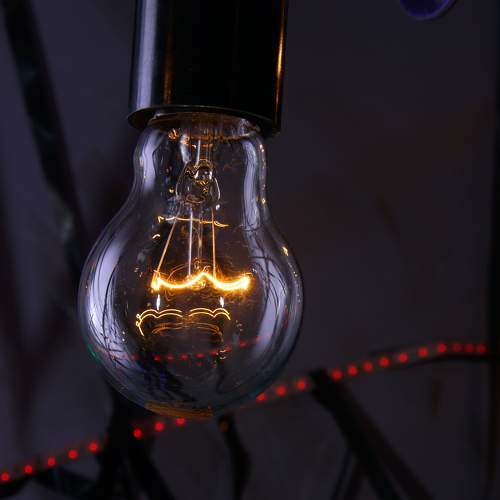 Photo #7203360