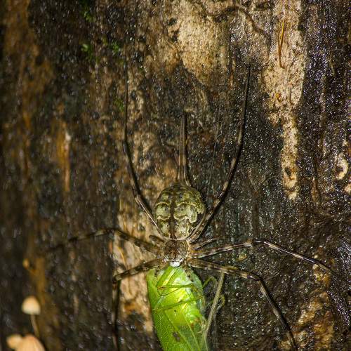 Photo #7203728