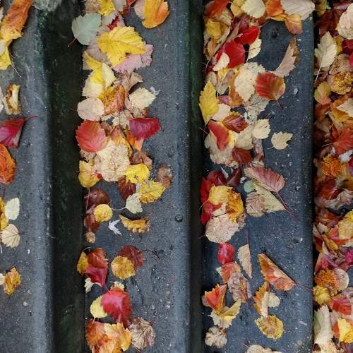 Photo #7203752